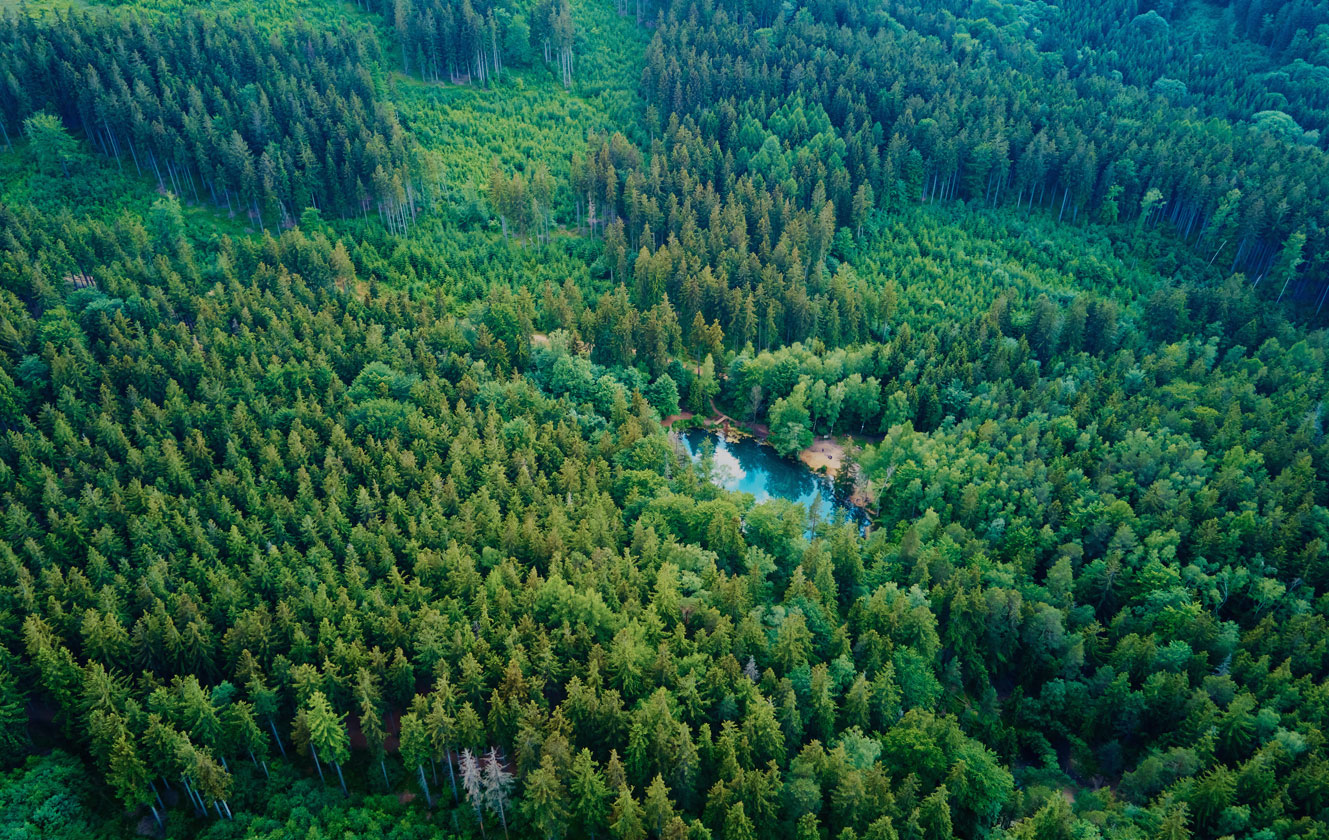 Zhejiang Yisen Bag Co.,. Ltée.